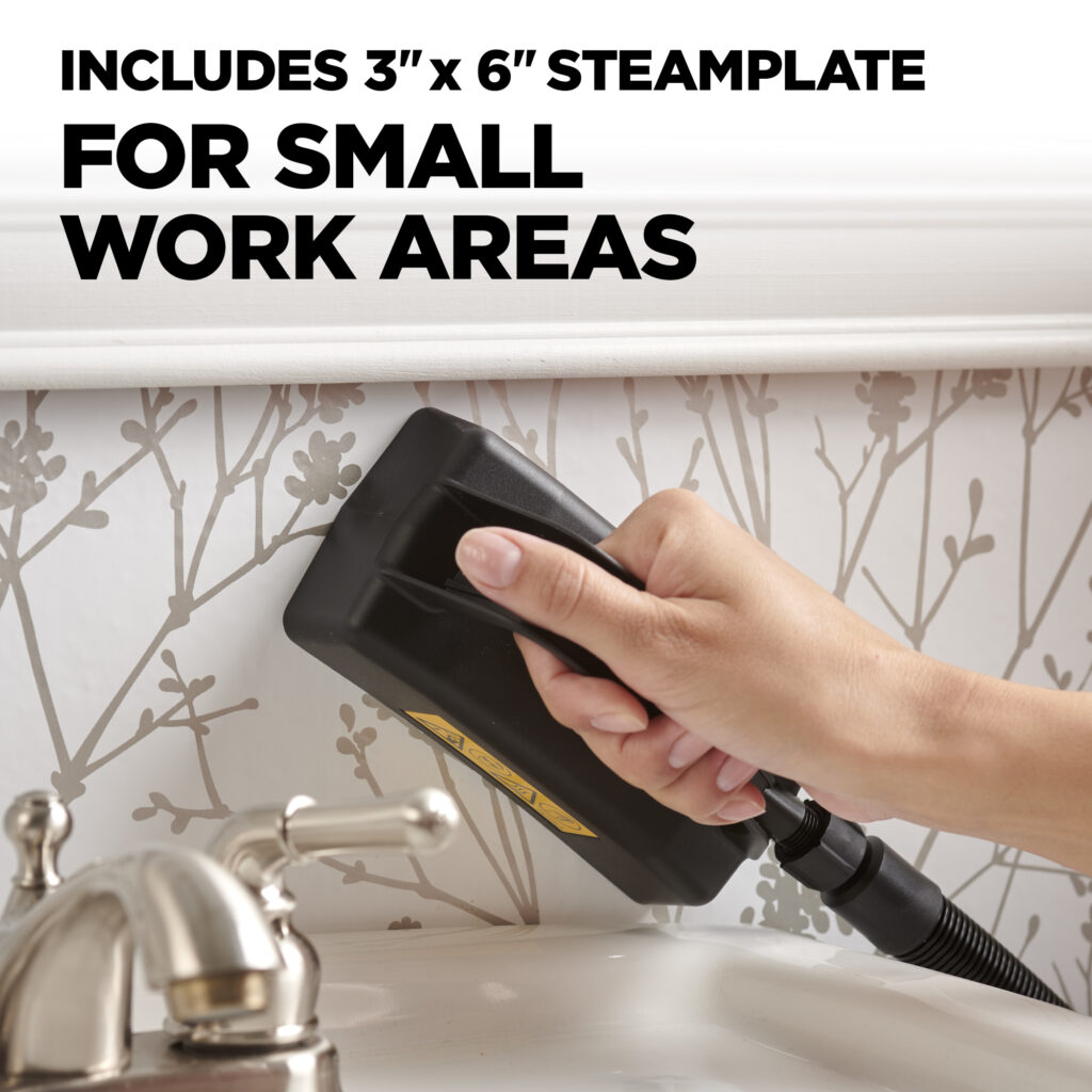 Includes 3" x 6" steamplate for small work areas.