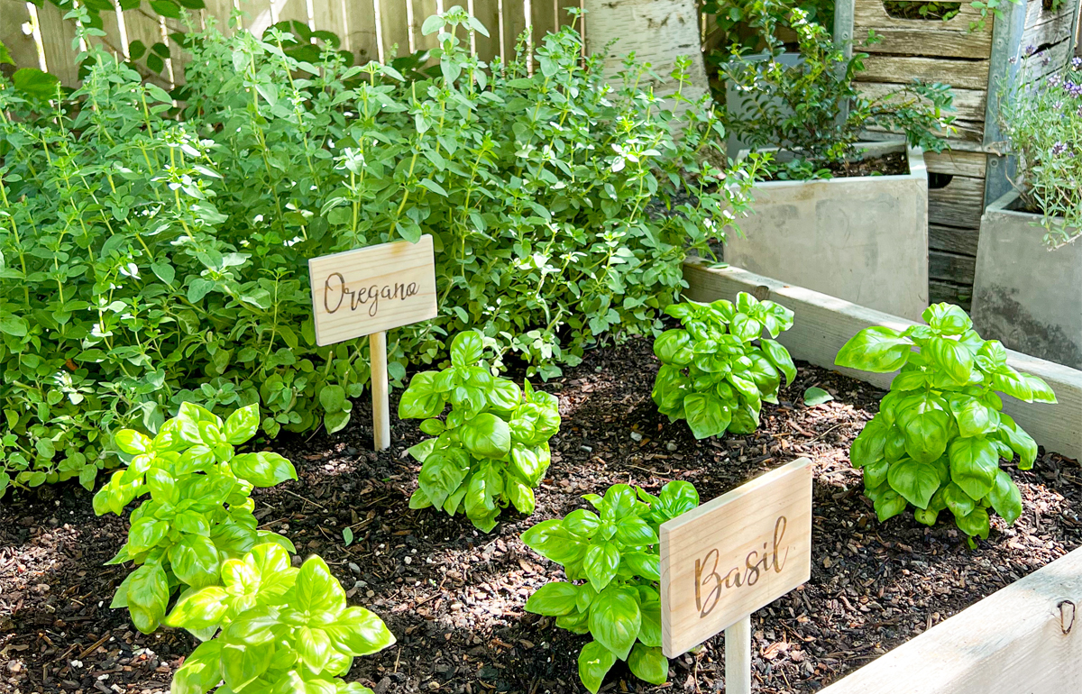 HR Garden Markers 1200x770 1.jpg