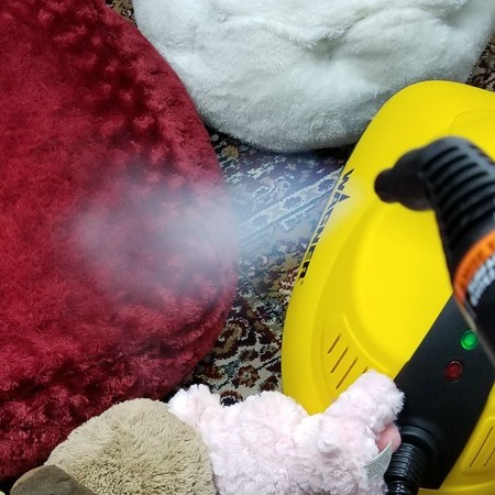 Clean Dog Bed