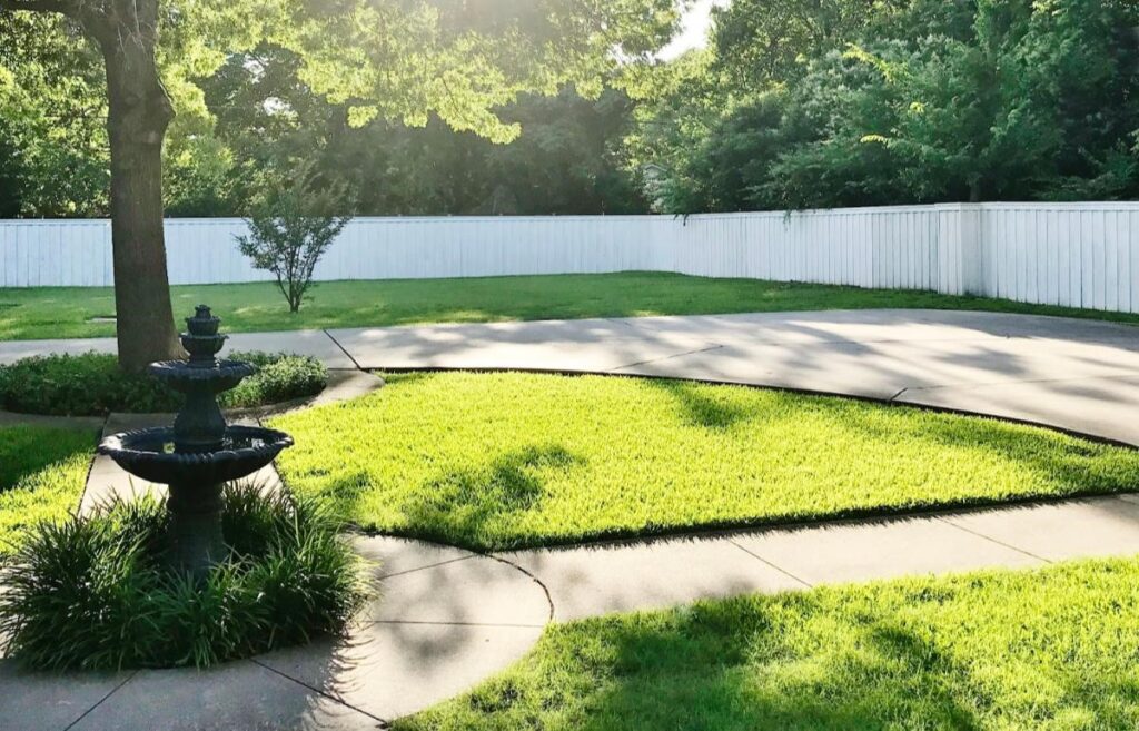 Old Fence Painted with a Wagner FLEXiO 2000 Paint Sprayer.jpg