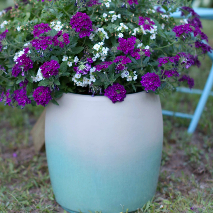 Let planter dry and then display