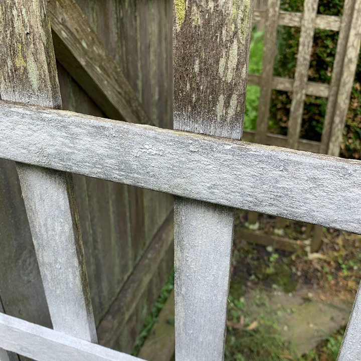 Look closely at the wood's condition