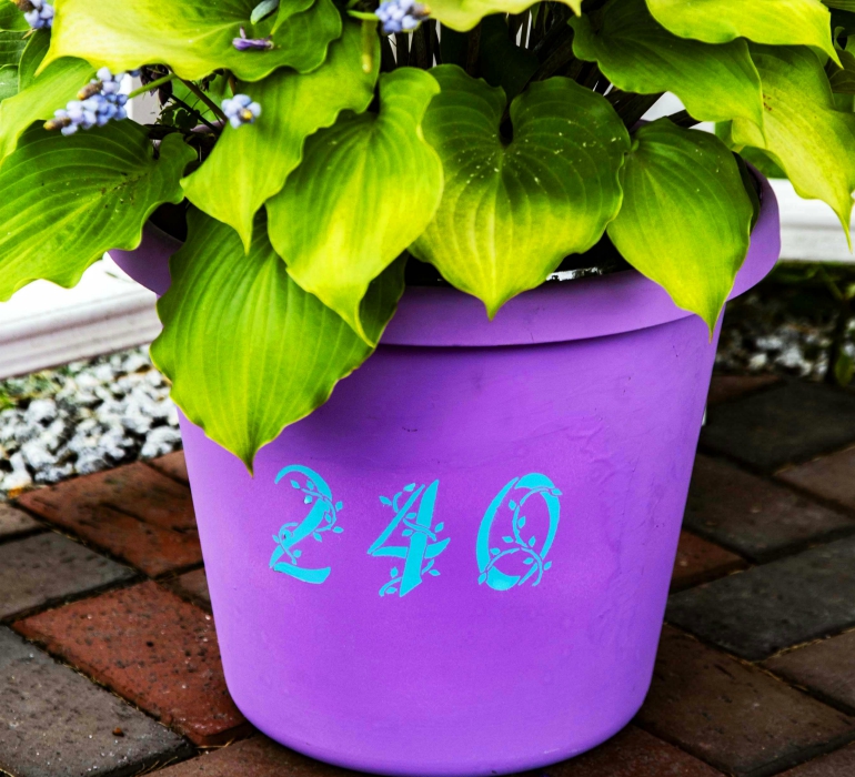 GOOD AREAS FOR PLANTERS AND BOXES