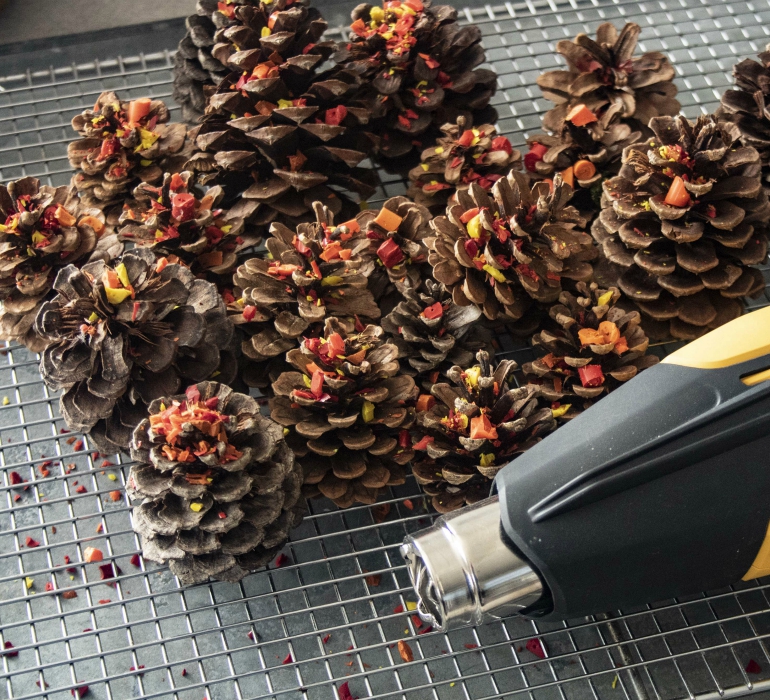 Sprinkle crayons over pine cones