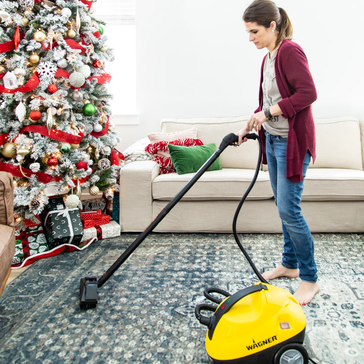 Clean Your Rugs and Carpets