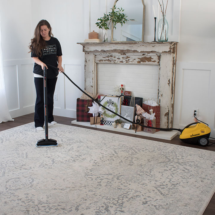 steam cleaning wool carpets Wagner 1.jpg