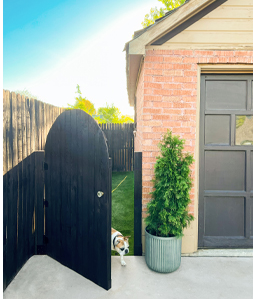 Screenshot 2025 06 25 111722